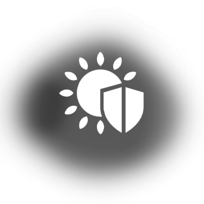 Window tint helps to shield your interior from sun damage and fading | Rodeo Werkz Auto Restyling | Dallas, TX