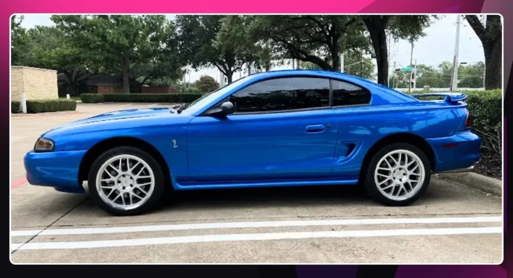 Humble Crew Auto Spa in Plano, TX | The Best PPF Service Providers in Dallas, TX | Rodeo Werkz