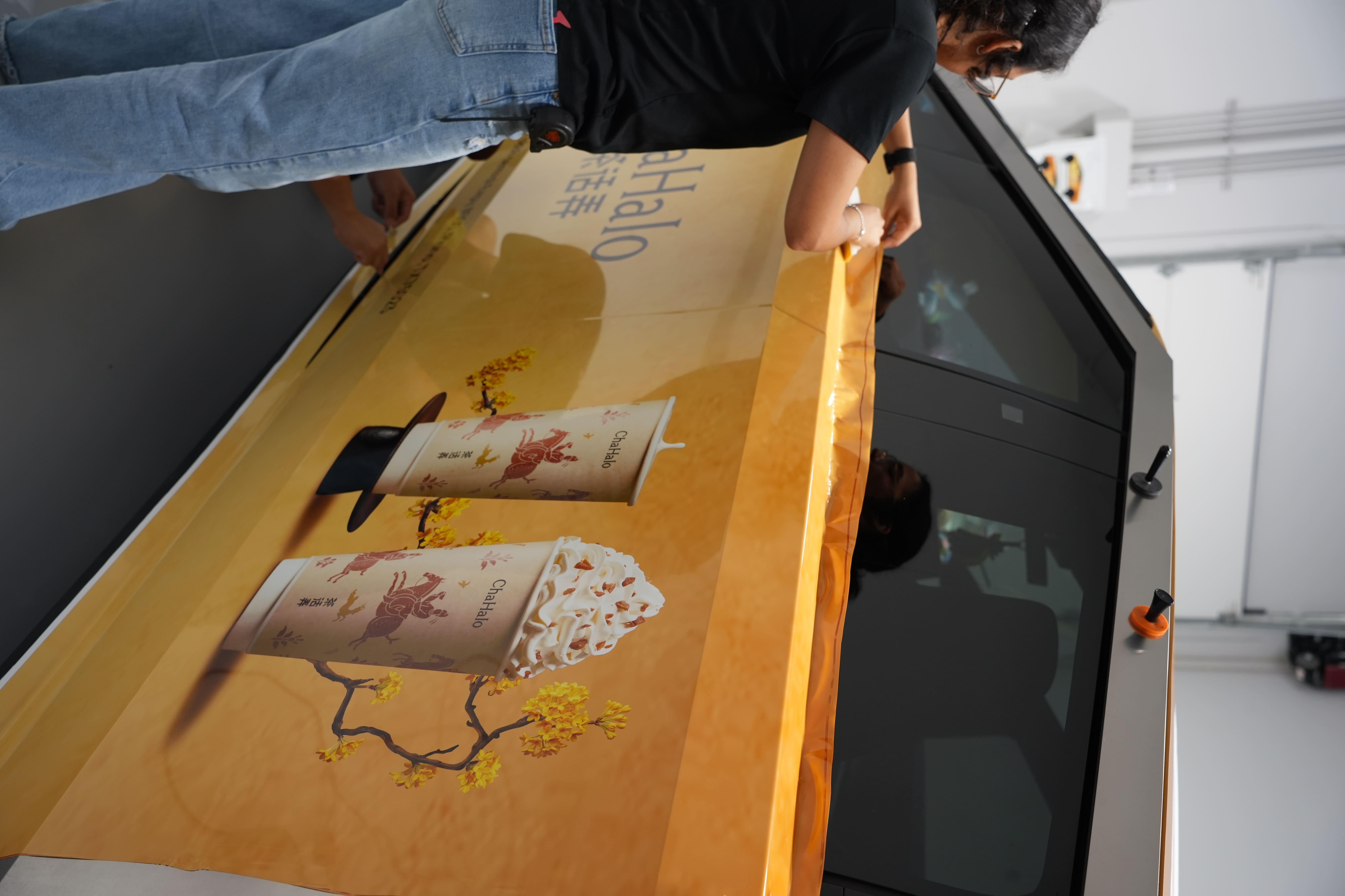 tesla fleet wrap